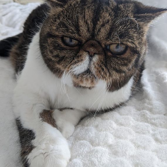 CASE STUDY - Arthritis